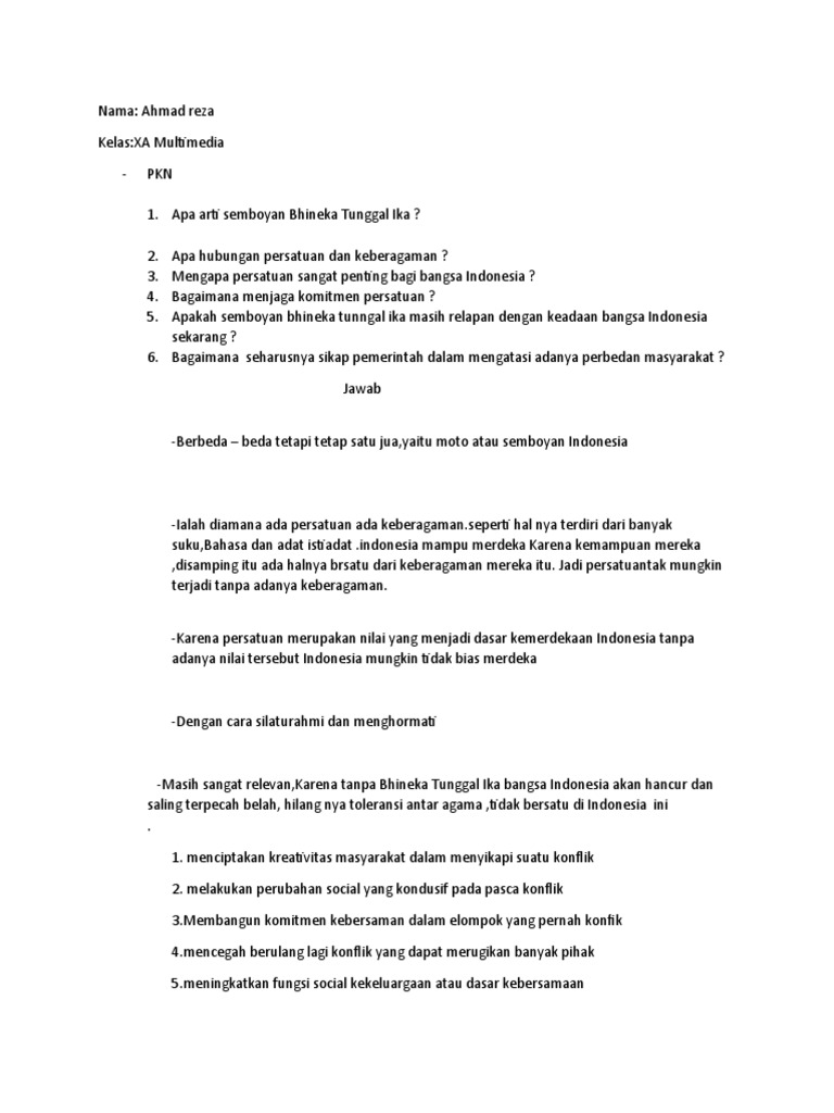 Pkn Reza Pdf