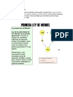 Que Es La Leyes de Mendel