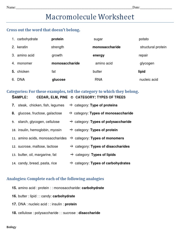 macromolecules-review-worksheet-pdf-macromolecules-carbohydrates