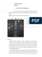 A2_182210101016_Lintang Qonita F_ Lap Sementara_Isolasi DNA plasmid dan genom & elektroforesis DNA