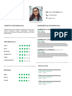 142 Curriculum Vitae Peru