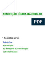 Absorção iônica radicular