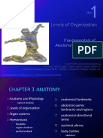 Anatomi Dasar CH 1