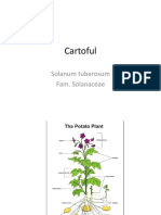 2021 3  Cartoful examen