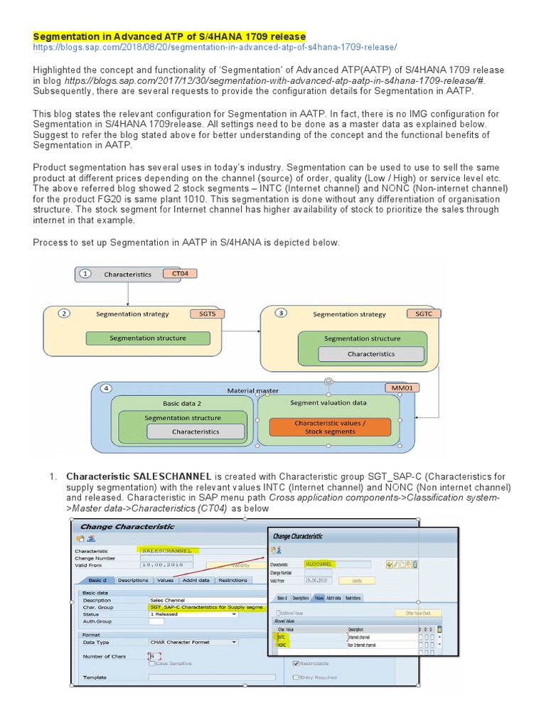 Segmentation in Advanced ATP of S4HANA 1709 Release - Part2 | PDF ...