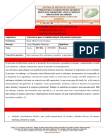 Informe de Instrumentista y Circulante