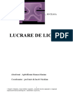 Model Licenta