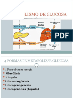 Metabolismo de Glucosa