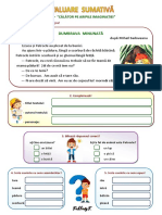 CLR Evaluare Sumativa