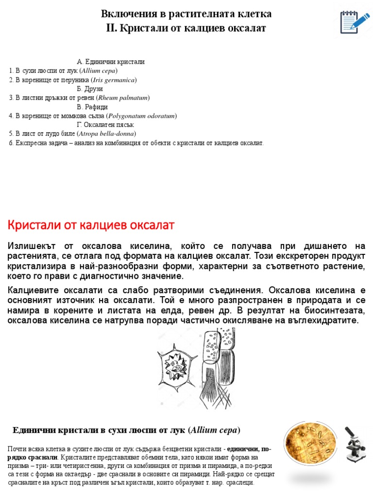 02 Включения в растителната клетка - кристали от калциев оксалат | PDF
