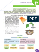 7° CCNN - Reino Plantae