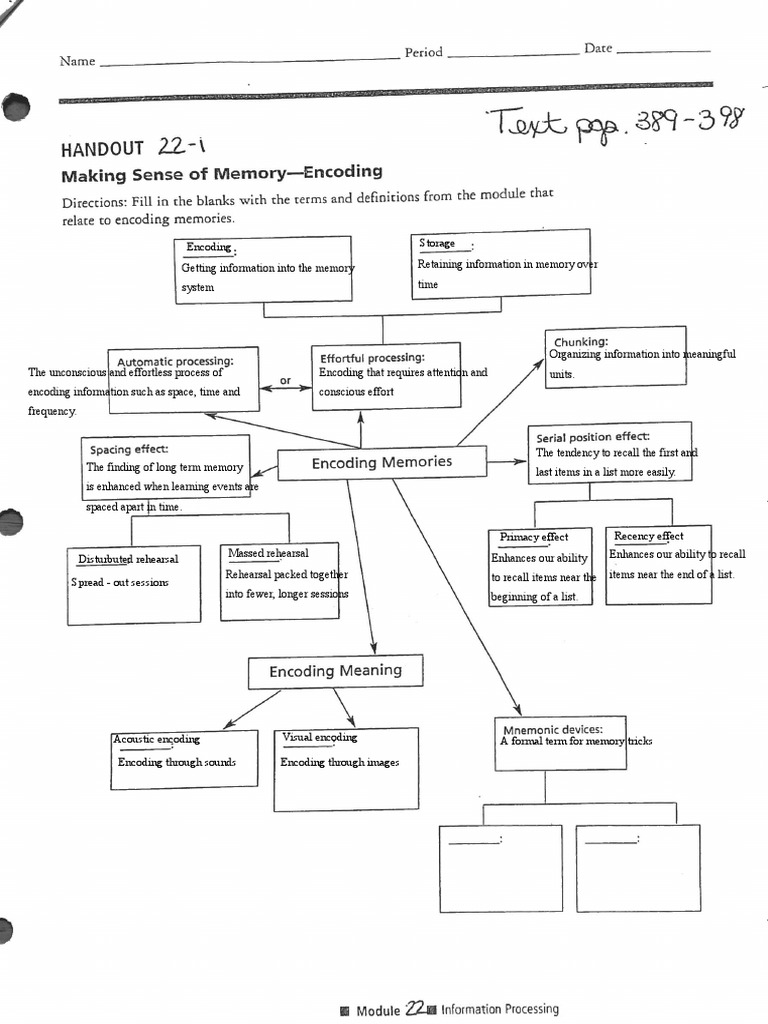Memory Encoding and Long-Term Potentiation | PDF | Memory | Recall (Memory)