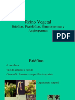EM-2ª-SERIE-Aula-REINO-VEGETAL-biologia-04-05-2020