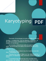 CM3-CU12 - Karyotyping (PART 2)