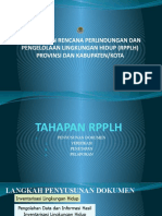 Penyusunan RPPLH Prov Kab Dan Kota