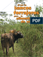 Bancos Forrajeros