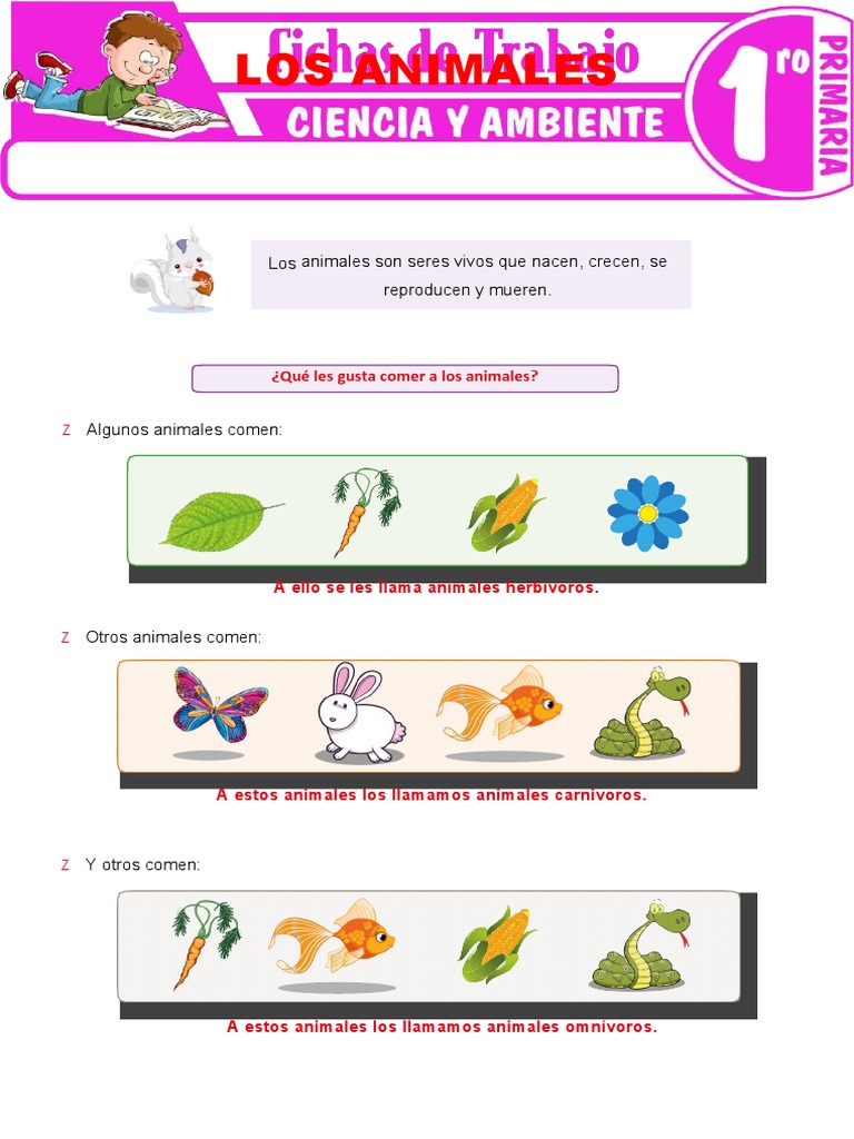 Los Animales para Primer Grado de Primaria PDF Naturaleza