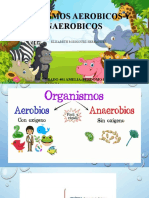 Organismos Aerobicos y Anaerobicos