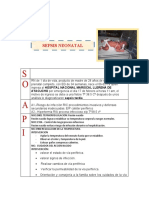 Notas de Enfermería Sepsis