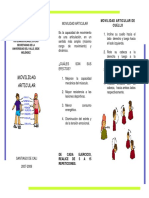 Folleto Movilidad Articular