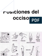 Posiciones Del Occiso