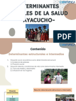Determinates Estructurales e Intermedios de La Salud en Ayacucho