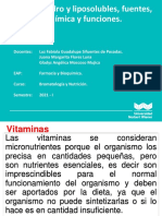 Vitaminas hidro y liposolubles: funciones y fuentes