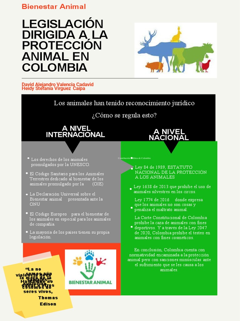 Poster Bienestar Animal | PDF | Bienestar de los animales | Derechos