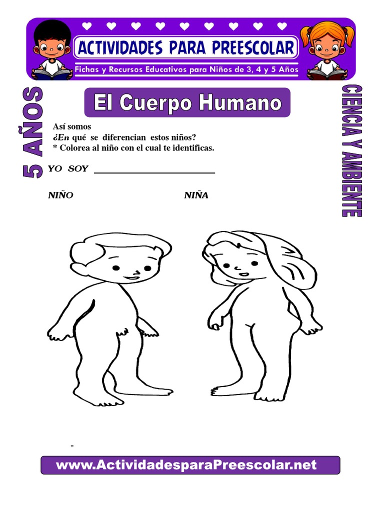 El Cuerpo Humano para Niños de 5 Años | PDF, image size:768x1024