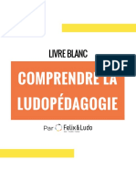 Felix_Ludo_Livre_Blanc_1_2020_
