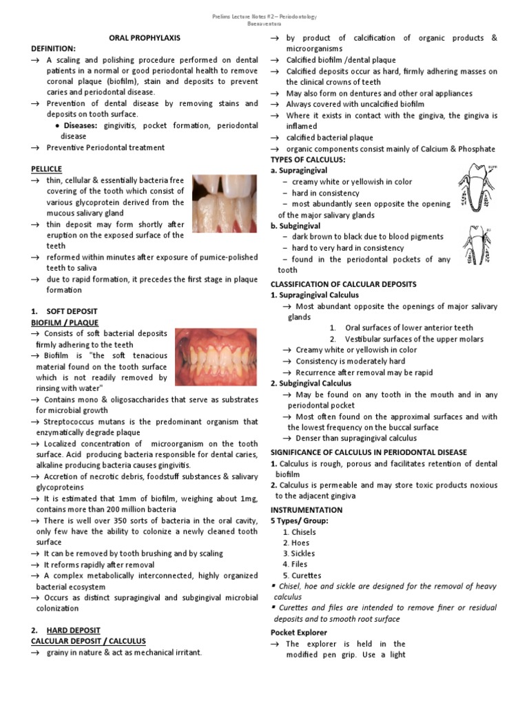 Oral Prophylaxis Perio Prelim Notes 2 PDF Periodontology Human Tooth