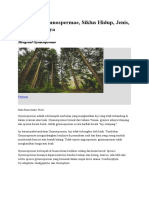 diatas secara singkat namun relevan menjelaskan tentang organ reproduksi dan proses penyerbukan serta pembuahan pada gymnospermae dengan kurang dari