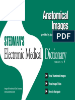 Stedman's Anatomy