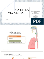 Anatomía de la vía aérea superior e inferior