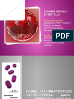 Bordetella