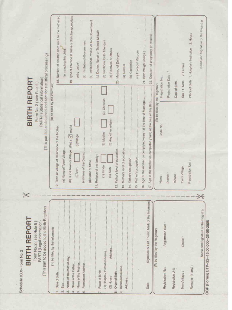 Birth Report Form 1 | PDF