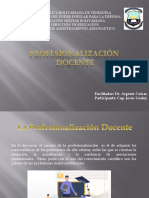 Profesionalizacion Docente