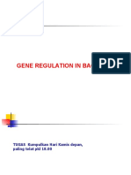 P2-Gene Reg in Bacteria-F1