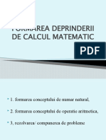289720756 Formarea Deprinderii de Calcul Matematic