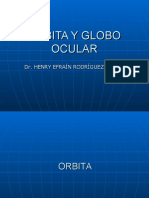 Orbita y Globo Ocular