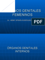 Organos Genitales Femeninos