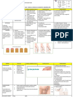 Nota Nsne 3113 1. Congenital Abnormalities (Gu)