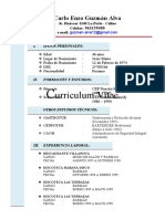 Curriculum Modelo