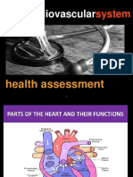 Cardio Assess. S