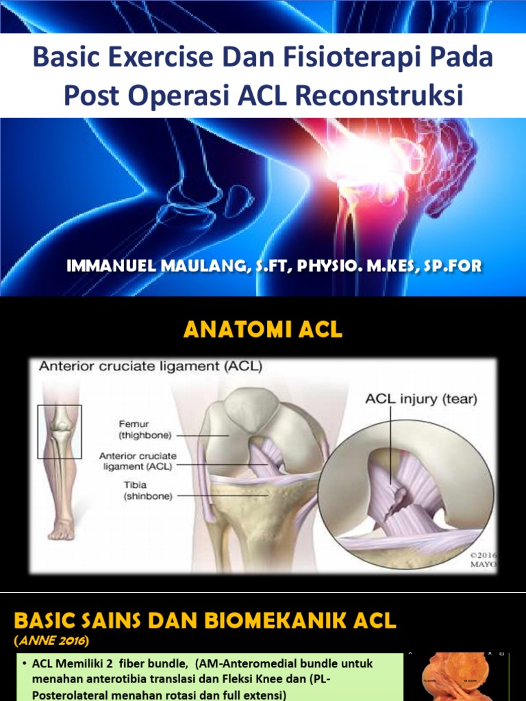 Physiotherapy For ACL Rehab | PDF