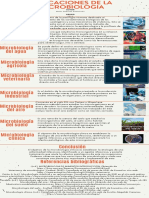 Orange Photo Clean & Corporate Organization History Timeline Infographic