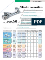 CA2_ES (1)