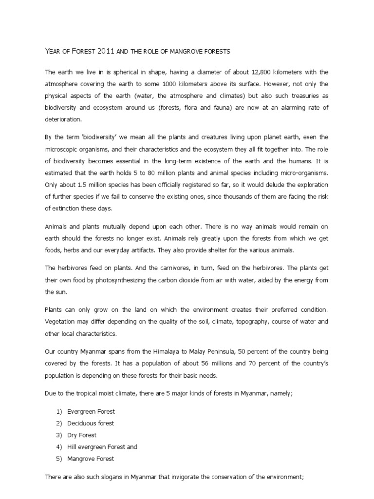 Burma en muntlig presentasjon essay 02 picture