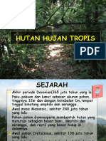 HUTAN HUJAN SEJARAH