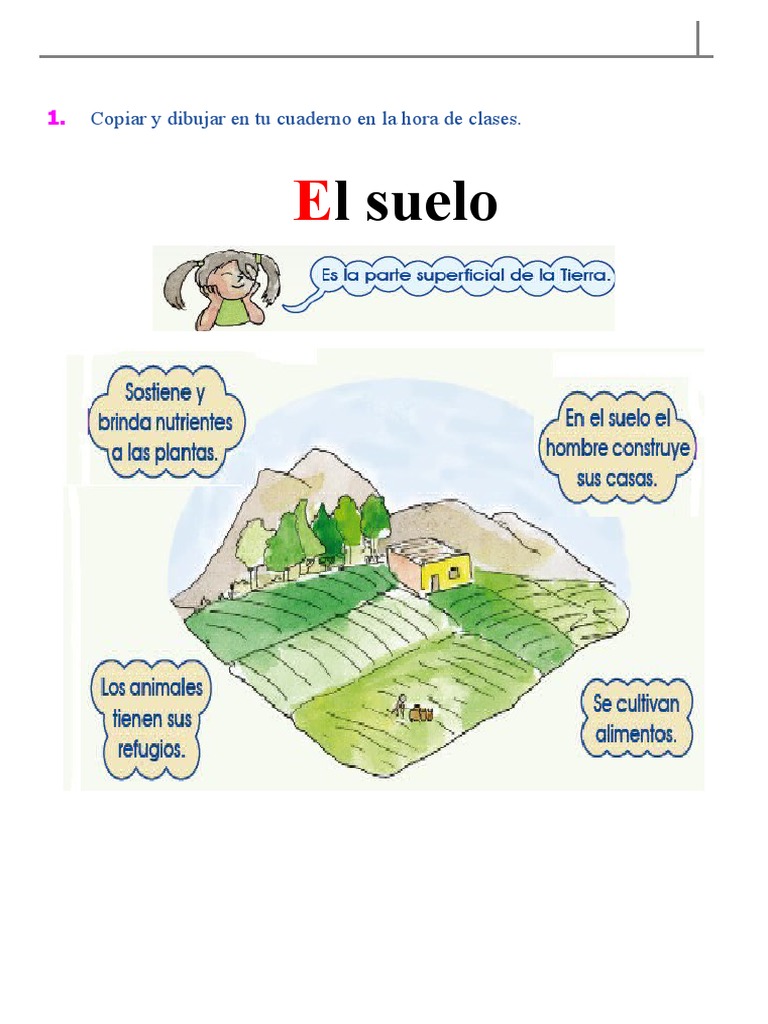 Tipos de Suelo para Dibujar y Aprender | PDF